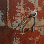 Robert Louis Caldwell, Shadow (scissor-tailed flycatcher), oil, 18 x 24.