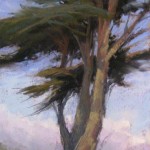 6-Coastal-Cypress-16x8-kim-Lordier Coastal Cypress, pastel, 16 x 8.