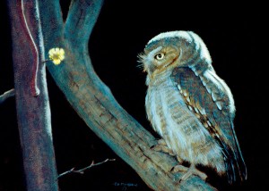 Timothy David Mayhew, Night Wise, oil, 12 x 16.