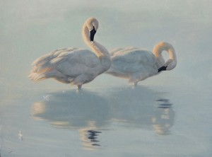 Greg Wilson, Preening Beauties, oil, 18 x 24.