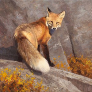 A Fox on the Rocks, oil, 24 x 24.