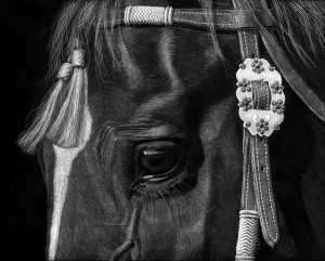 Cathy-Sheeter-Tassels-Scratchboard-8-x-10