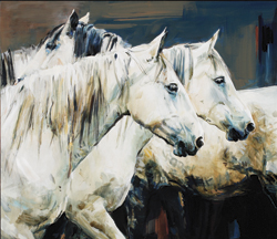 Greys by Sophy Brown