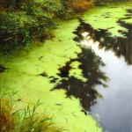Lush-Embankment-18x24-oil-on-canvas.300dpi Lush Embankment, oil, 24 x 18.