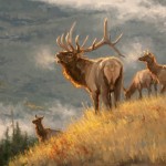 Tiffany Stevenson, Calling Out, oil wildlife painting