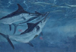 Stanley Meltzoff, White Marlin 7, Three White Marlin and Needlefish, oil, 21 x 32.