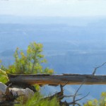 Dave Santillanes, Into the Void, oil, 18 x 24.