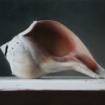 sadie-valeri_conch-shell_9x12_oil-on-panel Conch Shell, oil, 9 x 12.